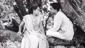 Indian Cinema Since 1913