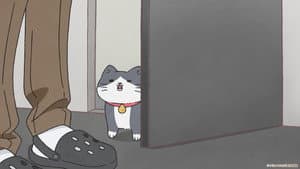 Episode 47
