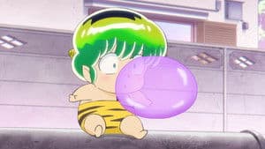 Fantasy Balloon Gum / Love Knows No Barriers