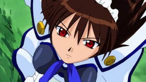 Cold Saki