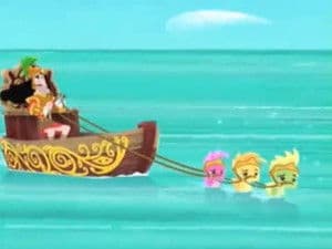 Seahorse Roundup