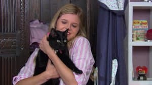 House of Cat-Nap