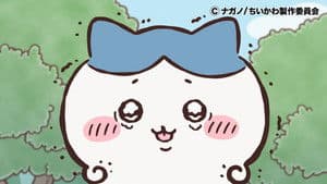 Episode 294