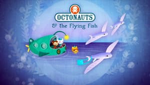 The Flying Fish