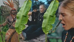 Into the greens: Deep in the rainforest