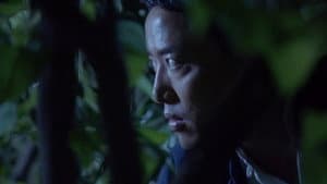 Episode 40