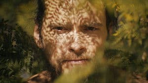 Out of the Woods