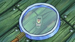 Plankton!