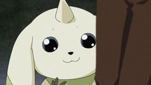 Digimon, Digimon Everywhere