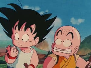 The Turtle Hermit Way