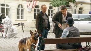 See Vienna and die