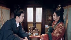 Investigating the Yang Family