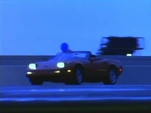 Auto Erotica