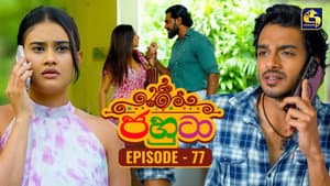Episode 77