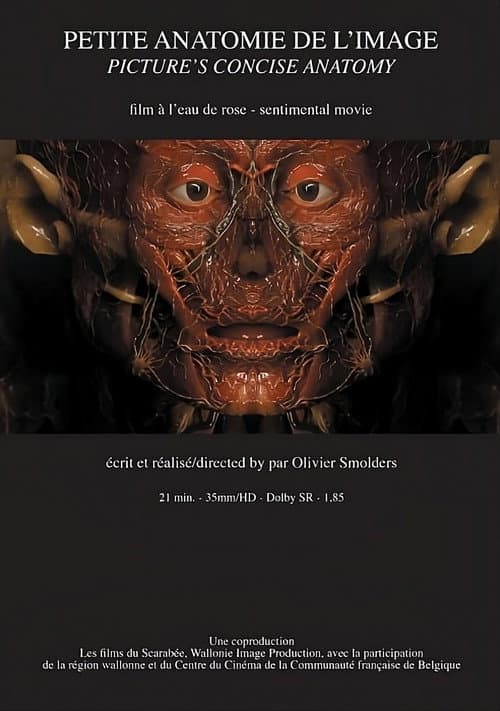 Petite anatomie de l'image