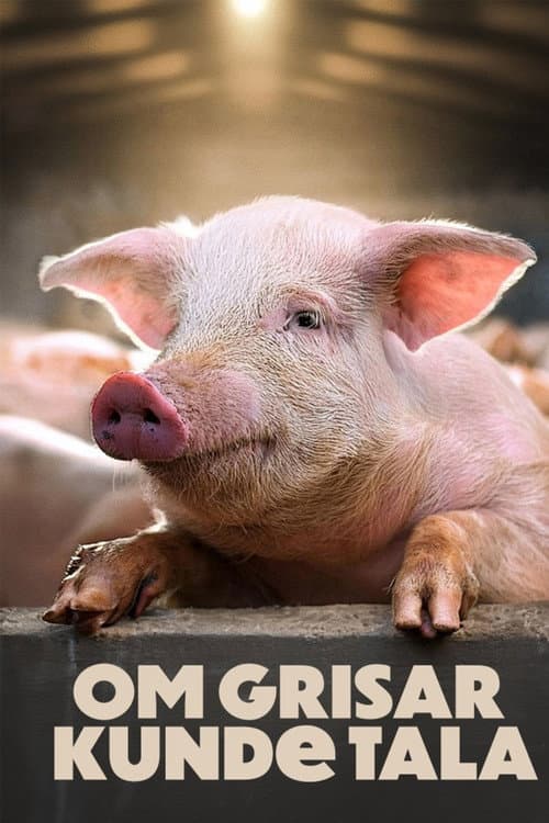 If Pigs Could Talk