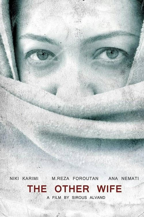 The Other Wife