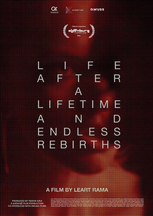Life After a Lifetime and Endless Rebirths