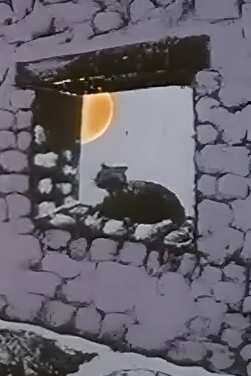 The Chameleon Cat