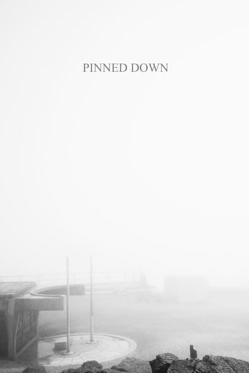 Pinned Down