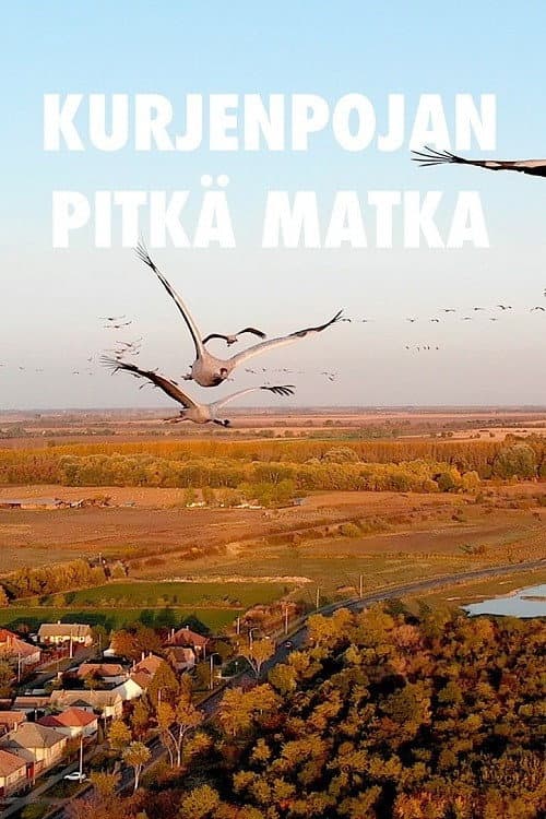 A Young Crane's Long Journey