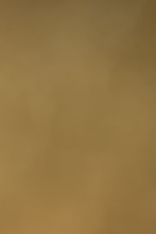 Sky Journal II [Yellow]