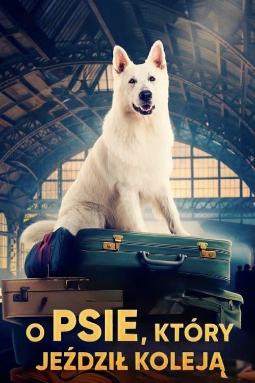 Lampo, the Travelling Dog