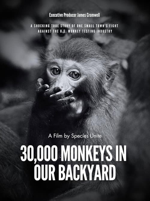 30,000 Monkeys in Our Backyard