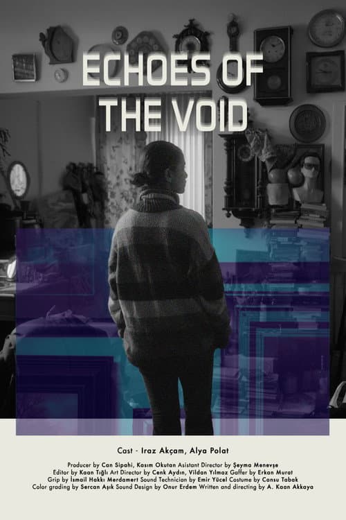 Echoes of the Void