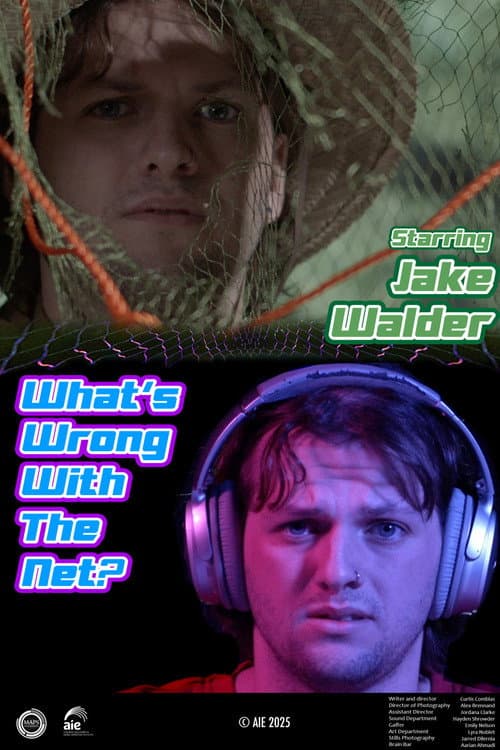 What's Wrong with the Net?