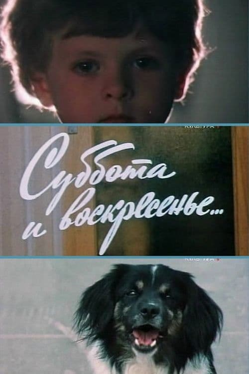 Saturday and Sunday