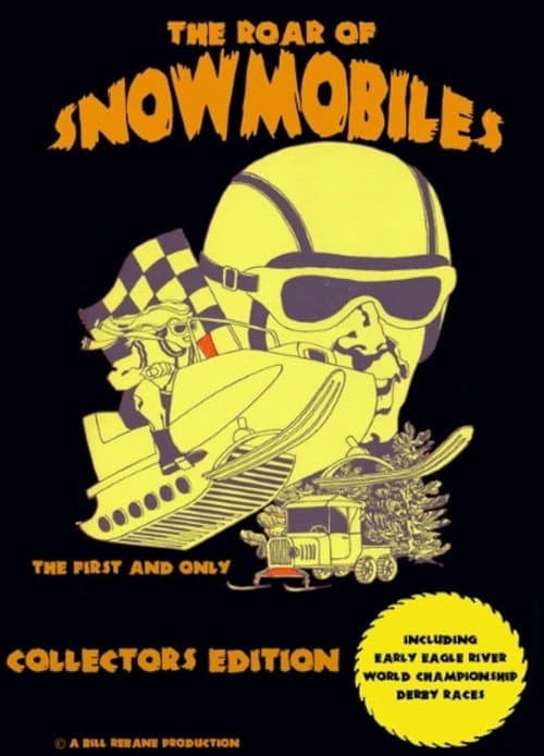 The Roar of Snowmobiles