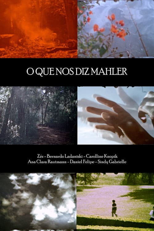What Mahler Tells Us