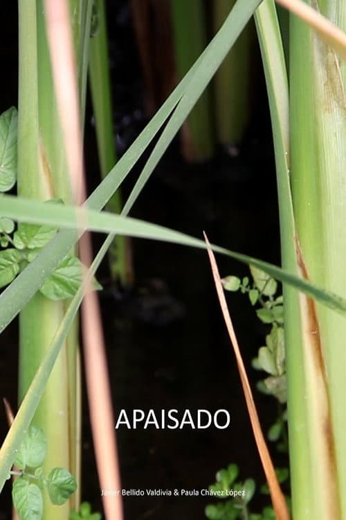 Apaisado