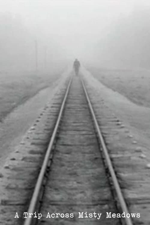 A Trip Across Misty Meadows