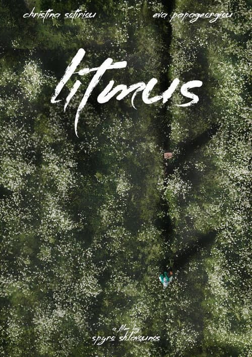 Litmus