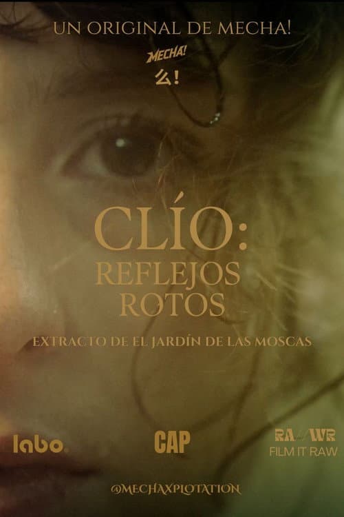 ClÍO: Broken Reflections