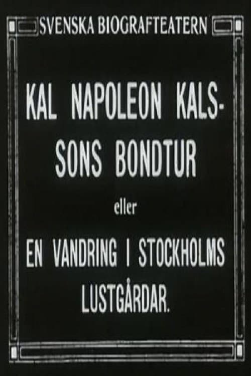 Kal Napoleon Kalsson's Stroke of Luck