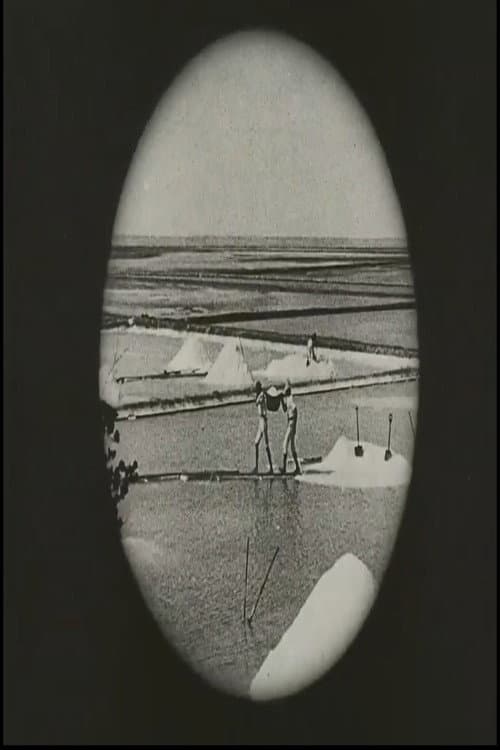 Voyage au Brésil