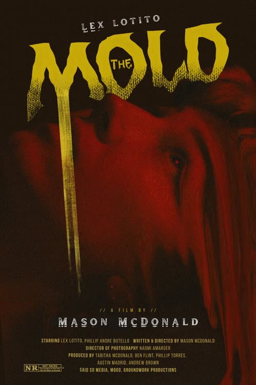 The Mold