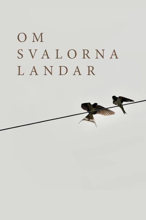 Om svalorna landar