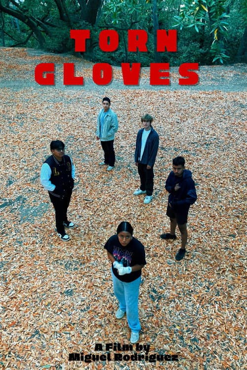 Torn Gloves