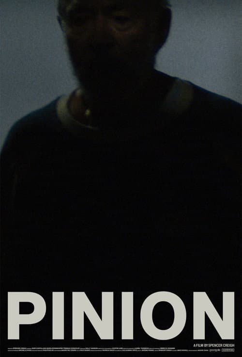 Pinion