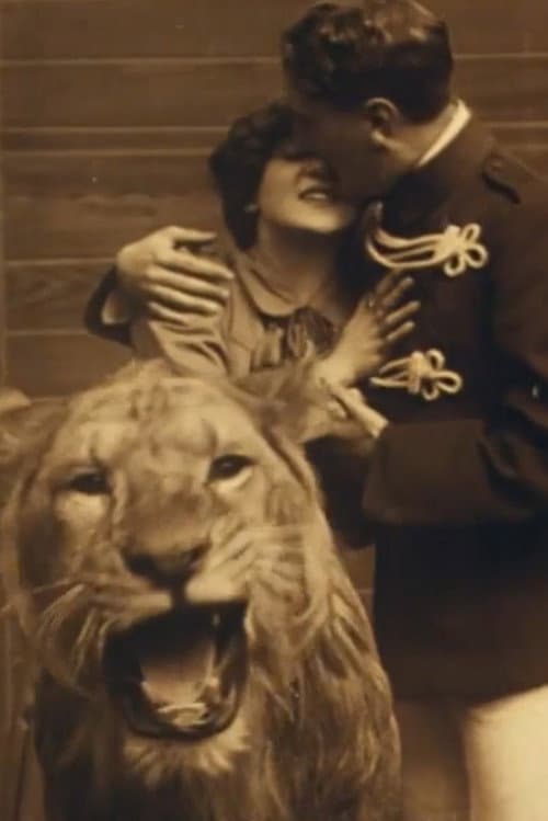 Love Amongst the Lions
